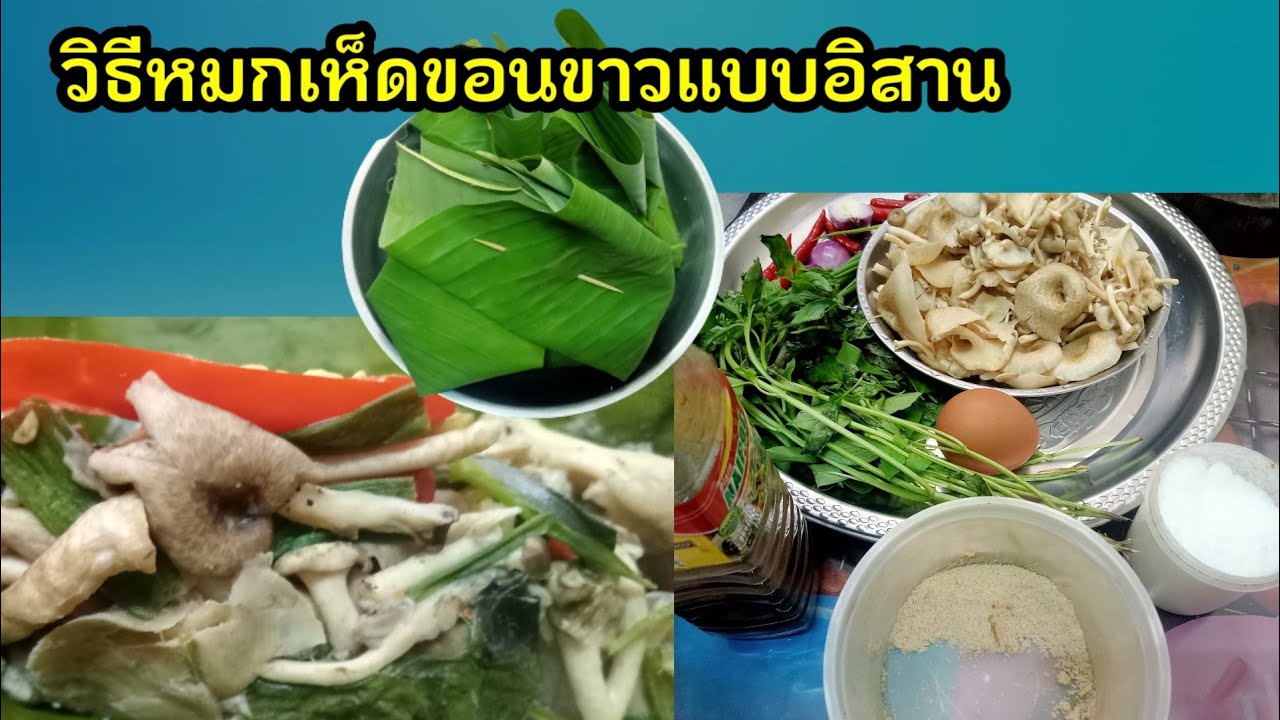 วิธีหมกเห็ด ขอนขาว แบบอิสาน How to Hor Mok Mushroom, authentic spicy taste