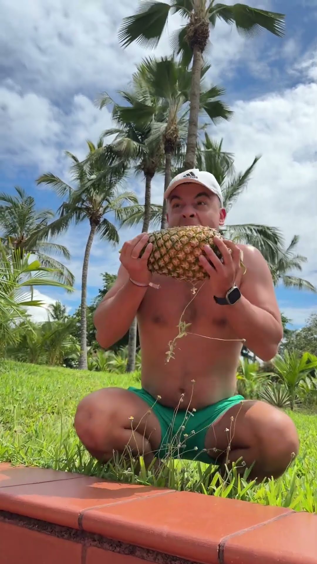 Pineapple dream by Secret Vlog