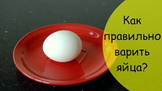 Как варить яйца правильно Как варить яйца правильно