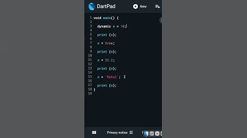 Day 10: dynamic Keyword in Dart