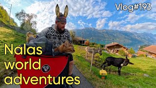 Vlog#193 Cycling through beautiful Switzerland with my cat Nala π¨ππ»