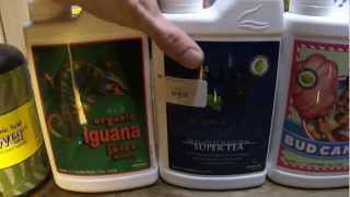 Day 2 of Flower Advanced Nutrients and Hortilux Bulbs