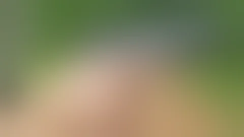 Rock Island Armory 22TCM 1911 A2