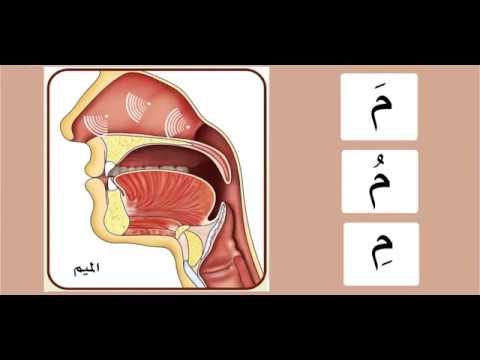 3) Буква (Мим - م )