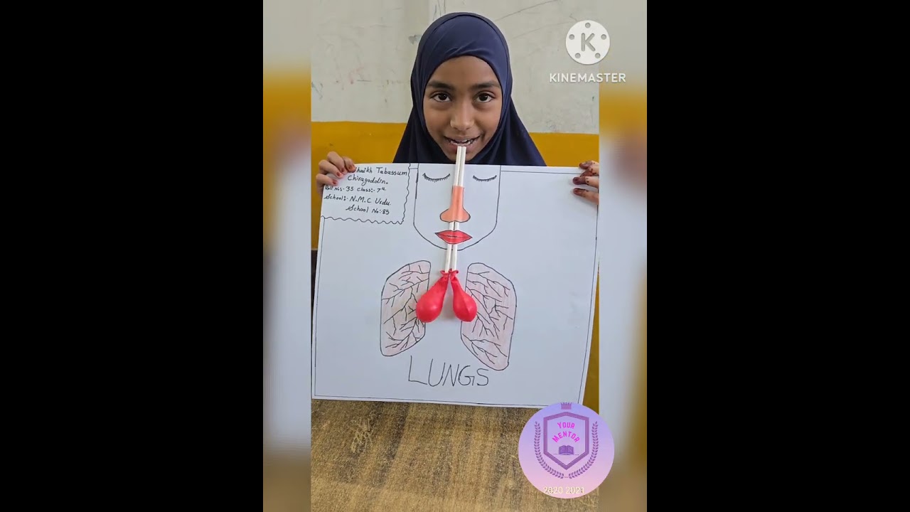 Science exhibition in school no.85 std 7 by shaikh Nausheen Anjum February 5, 2026