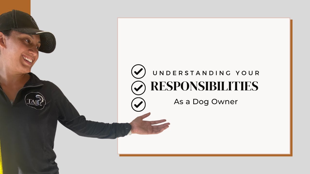 Understanding Your Responsibilities as a Dog Owner YouTube