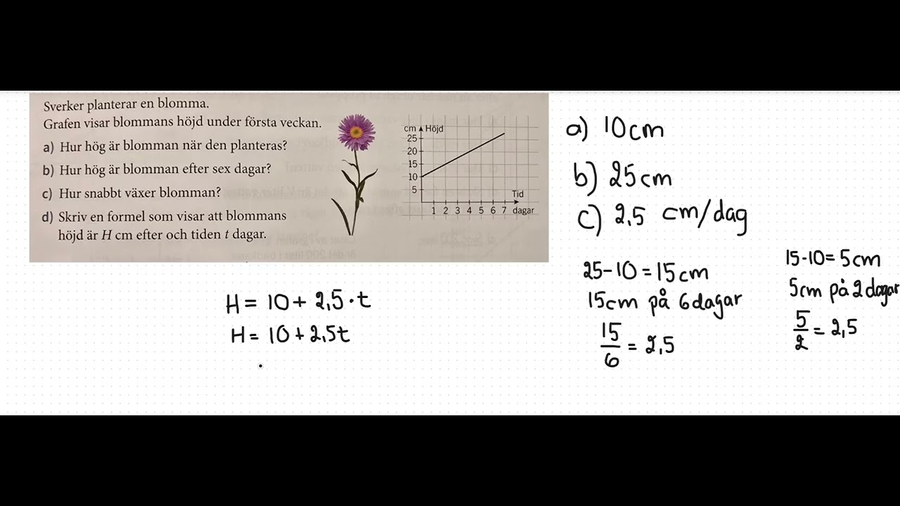 8- Grafer och formler