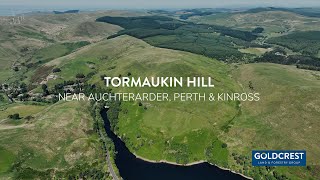 Goldcrest Land & Forestry Group | Tormaukin Hill