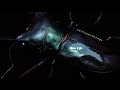 【色厳選】メタリフェルホソアカクワガタの成虫掘り出し結果【クワガタ飼育】