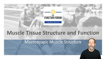 EXSC 7200.3.2 Muscle Macroscopic Structure