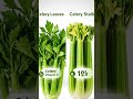 Celery Leaves Benefits Doctors Rarely Talk About! #shorts #foodismedicine