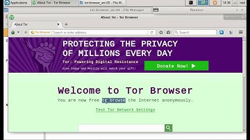 How to Access the Deep Web Dark Web using Tor Browser (Kali Linux)