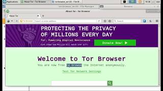 How to Access the Deep Web Dark Web using Tor Browser (Kali Linux)