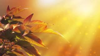 Tao Te Ching by Lao Tzu Chapter 56, Those who know do not talk