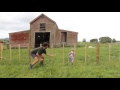 How To Teach A Baby To Climb A Fence