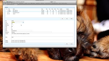 Message Box Displayed behind Window, instead of on top