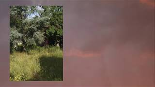 Video thumbnail of "Tobny Houston - Rancho Relaxo"