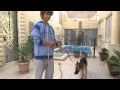 vlog with my dog | فلوق مع الكلب