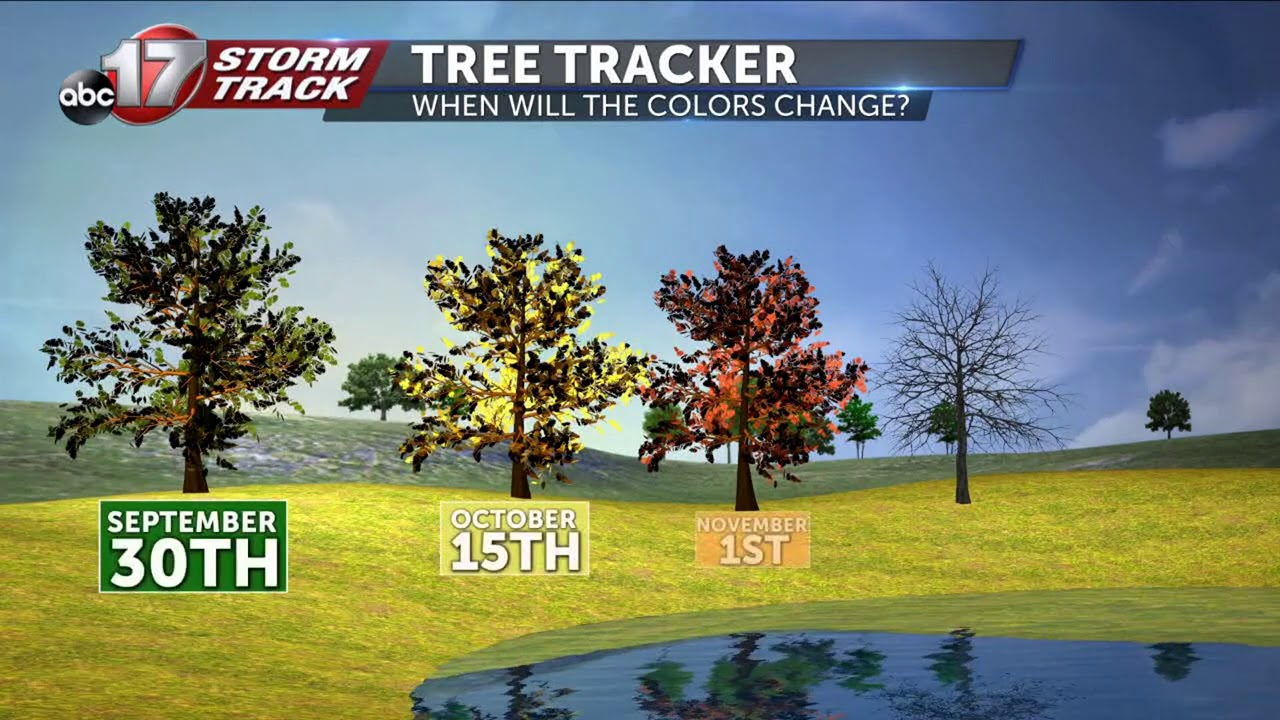Fall foliage popping across parts of the U.S., when it will arrive to Mid-Missouri.mpg