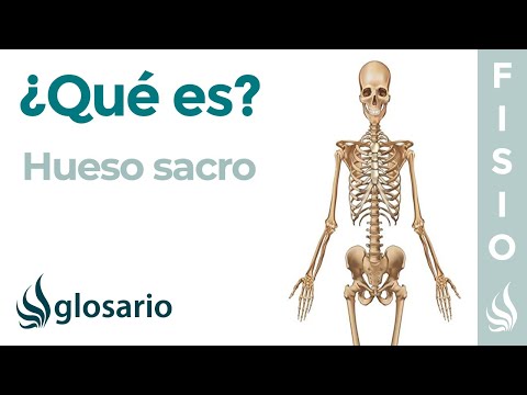 Video: ¿Qué es una fractura de sacro?