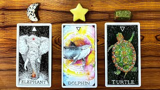 GOD LEAD YOU TO THIS READING BECAUSE YOU NEED TO HEAR THIS! 🫶🏻🌟🐢| Pick a Card Tarot Reading