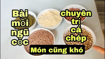 Mồi câu cá chép | 5 loại ngũ cốc đơn giản dễ làm | CỤT FISHING