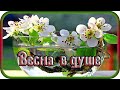 "ВЕСНА В ДУШЕ" - музыка Павел Ружицкий, "Spring in the Soul" - music Pavel Ruzhitsky