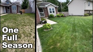 Thickening Up A Lawn (Cool Season)  1 Year of Results and Learnings