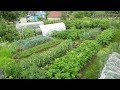 Спасаем урожай в дождливый  июль 2019г Кострома