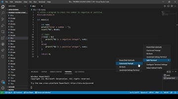 check the given number is positive or negative in c using visual studio