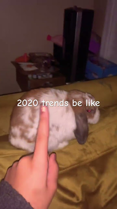 #haveitoldyoulatelythatiloveyou