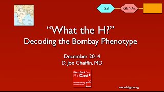 What the H? Decoding the Bombay Phenotype