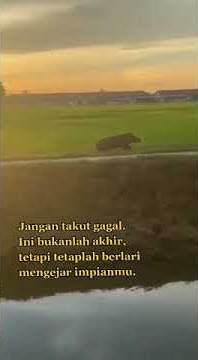 story wa jangan takut gagal