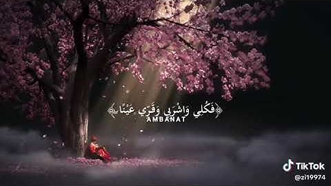 ( قد جعل ربك تحتك سريا) القارئ أحمد النفيس