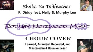 Shake Ya Tailfeather - P. Diddy feat. Nelly & Murphy Lee - 4 Hour Cover!