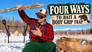 How to Bait a Body-Grip Trap for Beaver | 4 Methods