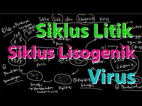 Video: Perbezaan Antara Litik Dan Lisogenik