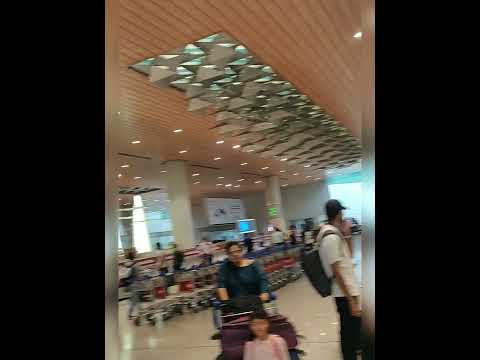 Video: Welcher ist der Inlandsflughafen in Mumbai?