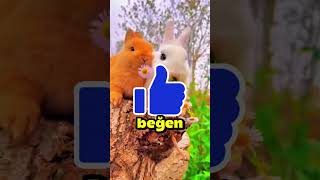 Fındık Parasına Göz Diken Hırsız Gerçek Mi? İzlemeden Geçme