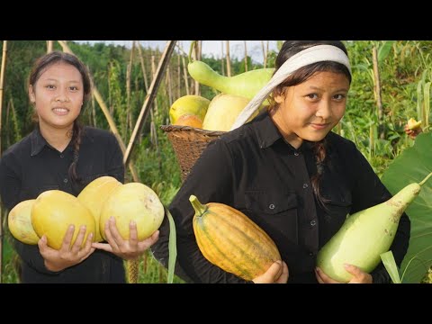 Plenty organic vegetables||Chigrim Sangma