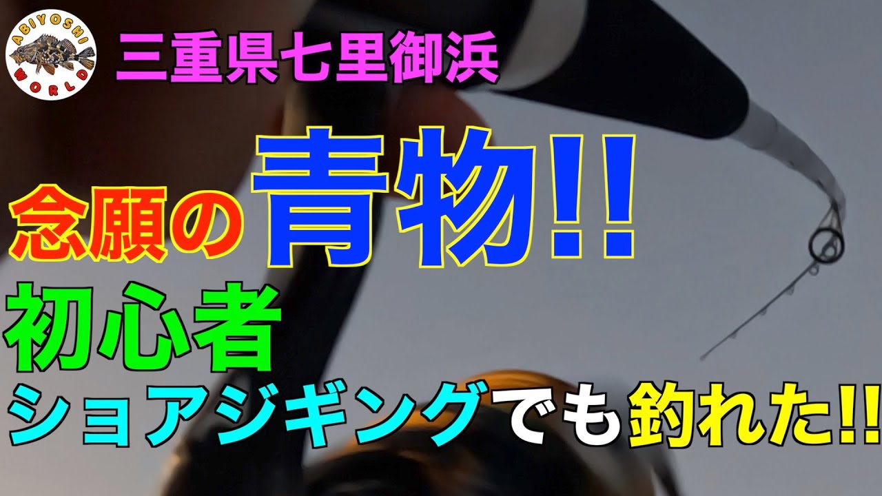 三重県七里御浜】ショアジギングで青物ヒット!!鬼ヶ城でポイント探索