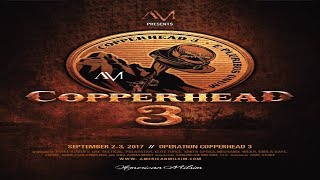 American Milsim Copperhead 3 Airsoft #2 Friendly Fire