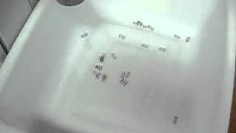 1800 Series Spring Detangler