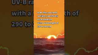 Sun The Elixir Of Life  Enlight Yourself