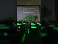 Chameleon  hacker 