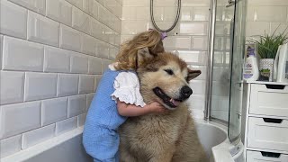 Adorable Baby Girl Convinces Giant Sulking Dog To Take A Bath!! (Cutest Ever!!)
