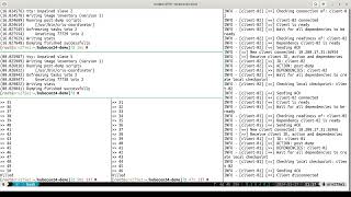 Enabling Coordinated Checkpointing for Distributed HPC Applications Net Worth