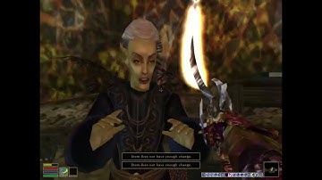 Day 113 - Killing Every NPC Elder Scrolls 6 is Released