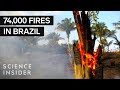 Amazon Fires and Environmental Impact Quiz