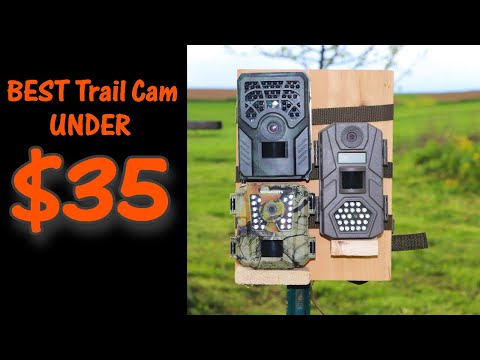 3 Trail Cameras UNDER $35 Which is Best?
